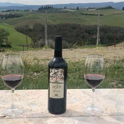 La Canonica, Montalcino orari di apertura