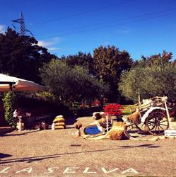 Agriturismo La Selva, Cassino orari di apertura