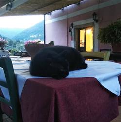 Agriturismo Locanda Del Papa, La Spezia orari di apertura