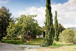 Agriturismo Sicomoro Nella Maremma Toscana, Capalbio orari di apertura