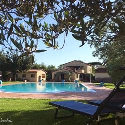 Osteria Vecchia, Bolgheri orari di apertura