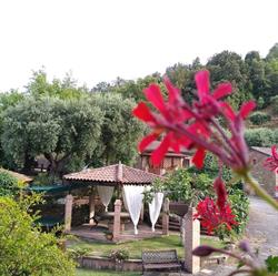 Agriturismo San Giorgio, Casal Velino orari di apertura