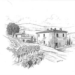 Le Capanne di Sopra, Torrita di Siena orari di apertura
