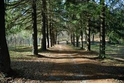 Agri Campeggio Le Fontanelle, Iesa orari di apertura