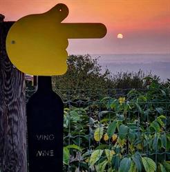 Le Viole, Barolo orari di apertura