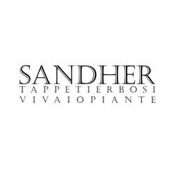 Vivai Sandher Di Simonelli P.agr. Daniele, Cignano orari di apertura