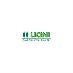 Licini Vivai, Curno orari di apertura