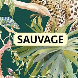 Sauvage Caffè Gelateria, Catania orari di apertura