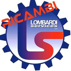 Lombardi Services srl, Vigliano Biellese orari di apertura