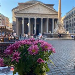 Schiafone Mario Tempio Bar, Roma orari di apertura