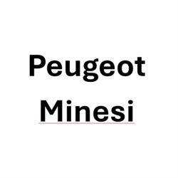 Peugeot Minesi, Verbania orari di apertura