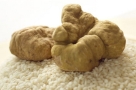 Le Trifole Tartufi Truffles Piedmont, San Marzano Oliveto orari di apertura