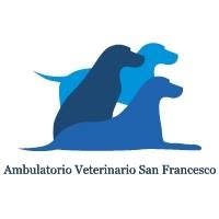 Ambulatorio Veterinario San Francesco - Vieste, orari di apertura