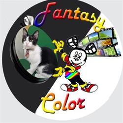 Fantasy Color "il Digitale a Portici", orari di apertura