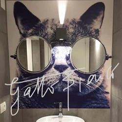 Gatto Bianco, Ferrara orari di apertura