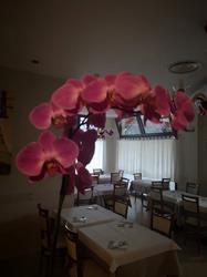 Ristorante Pizzeria L'incontro, Maranello orari di apertura