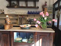 Ristorante Vino Tinto, Tivoli orari di apertura