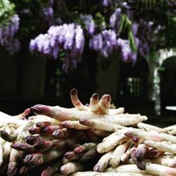 Albergo Ristorante Madonnina, Cantello orari di apertura