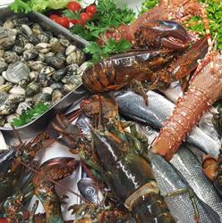 Ristorante Pizzeria Il Grillo, Caluso orari di apertura