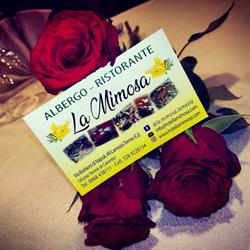 Albergo Ristorante la Mimosa, Lamezia Terme orari di apertura