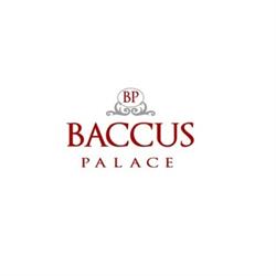 Baccus Palace, Luzzi orari di apertura