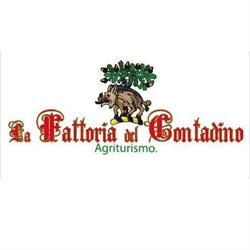 Agriturismo La Fattoria Del Contadino, Villa Oliveti orari di apertura