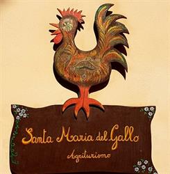 Agriturismo S. Maria Del Gallo, Apiro orari di apertura