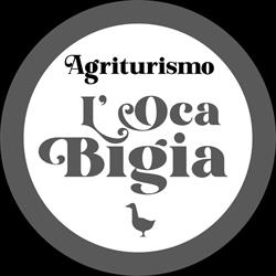 Agriturismo L'Oca Bigia, Soliera orari di apertura