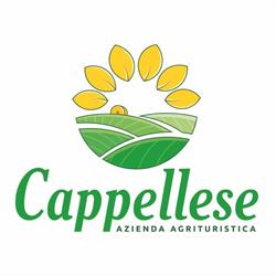 Michetti Marco E Fabiana S.S. Agriturismo Cappellese, Rosignano Marittimo orari di apertura