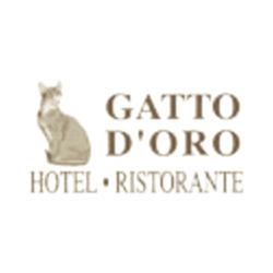 Hotel Ristorante Gatto D'Oro, Arcidosso orari di apertura