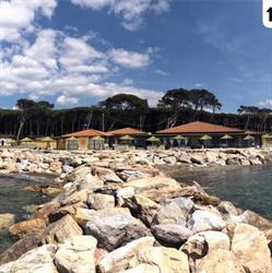 Ristorante Pizzeria Il Delfino, Cecina orari di apertura