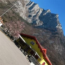 Ristorante Pizzeria La Buona Tavola, Sedico orari di apertura