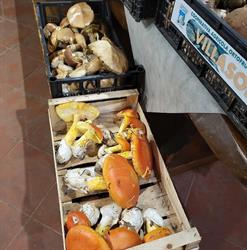Agriturismo Pian Di Fiume Societa' Agricola A.r.l., Bagni di Lucca orari di apertura