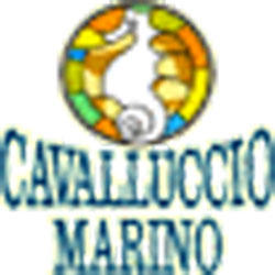 Cavalluccio Marino, Riccione orari di apertura