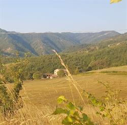 Trattoria del Cervo Agriturismo L'Antico Frutto, Premilcuore orari di apertura