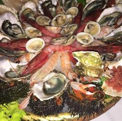 Il Faro - Ristorante Di Mare, Milano orari di apertura