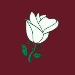 Ristorante La Rosa Bianca, Chieri orari di apertura