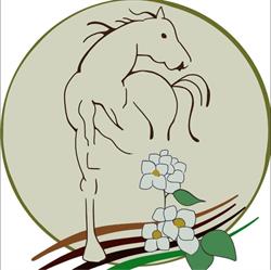 Agriturismo Il Gelsomino Grosseto, Alberese - Orari di apertura