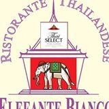 Ristorante Elefante Bianco, Carrara orari di apertura