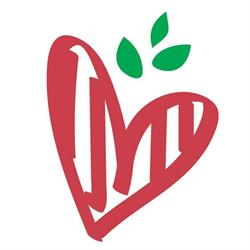 Pizzeria Positano Battipaglia, orari di apertura