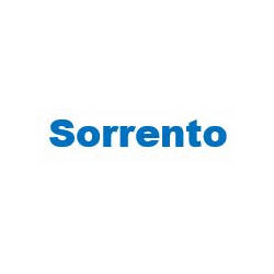 Ristorante Pizzeria Sorrento, Novi Ligure orari di apertura