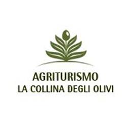 Agriturismo La Collina degli Olivi, Maiolati Spontini orari di apertura
