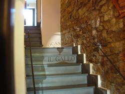 Ristorante Locanda Il Gallo Greve in Chianti, Chiocchio - Orari di apertura