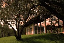 Agriturismo Terra Del Vento Di Scatassa Giuseppe Vallefoglia, Colbordolo - Orari di apertura