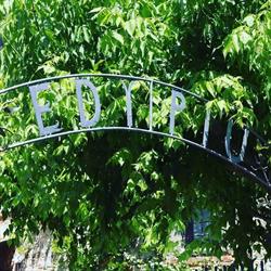 Ristorante Edy Più, Lastra a Signa orari di apertura