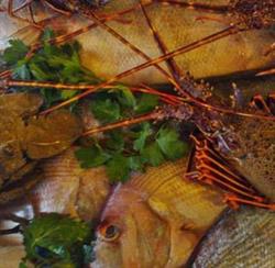 Ristorante il locandiere Caltagirone, orari di apertura