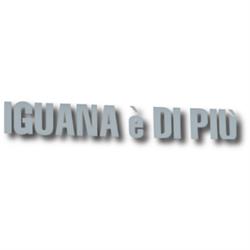 Iguana è Di Più, Pisa orari di apertura