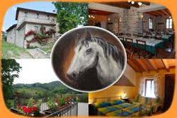 Agriturismo Cavallo Grigio, Palazzago orari di apertura