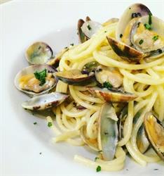 Tijuana Osteria sul Mare, Misano Adriatico orari di apertura