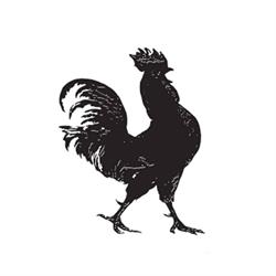 Agriturismo Gallo Nero, Mestrino orari di apertura
